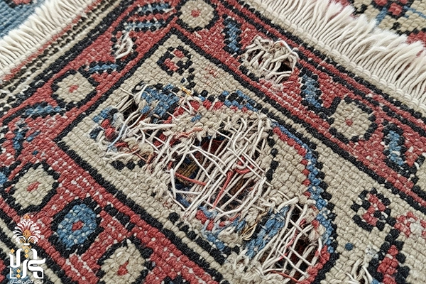 جلگیری از بید زدن فرش